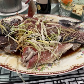 Fuxing Spring - Steamed red fish - Seafood Near Me - Monterey Park, California Fuxing Spring - Steamed red fish - Seafood Near Me - Monterey Park, California