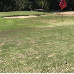 Osgood Golf Course Pro Shop - The bad greens
