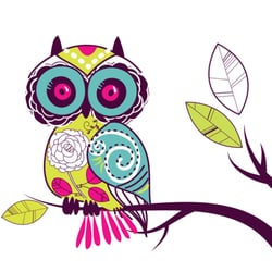 Avid Owl Marketing
