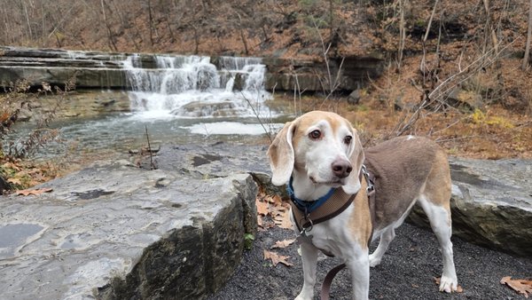 Taughannock Falls State Park by null