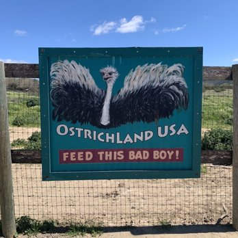 Ostrichland USA - Outdoor Signage - Attraction Farms Near Me - Solvang, California Ostrichland USA - Outdoor Signage - Attraction Farms Near Me - Solvang, California