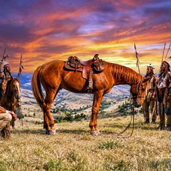 Comanche, the Horse who survived the Battle at Little Bighorn Redbubble.com DBM Photo Art 1