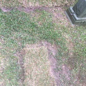 Rain or Shine - Lawn Services Near Me Rain or Shine - Lawn Services Near Me