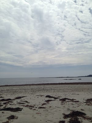 Crescent Beach State Park by null