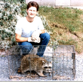 Captor Wildlife Services - Pest Control Near Me - Munnsville, New York Captor Wildlife Services - Pest Control Near Me - Munnsville, New York
