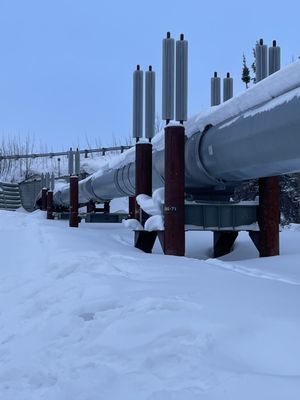 Northern Alaska Tour Company by null