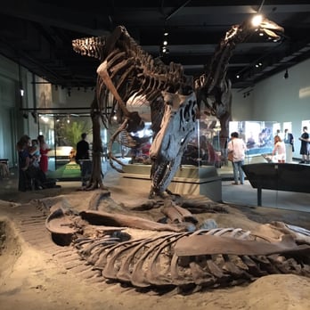 Field Museum - T-Rex - Museums Near Me - Chicago, Illinois Field Museum - T-Rex - Museums Near Me - Chicago, Illinois