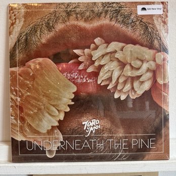 Spinster Records - Vinyl Records Near Me - Dallas, Texas