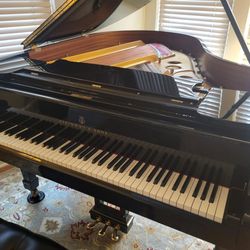 Park Avenue Pianos - Steinway (Hamburg) Model O - 2002