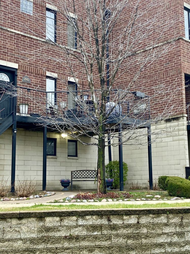 AJAX Tree Service - tree service in Chicago, IL