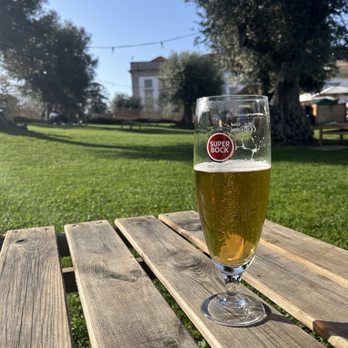 Base Porto - Wine Bars Near Me - Porto, 13