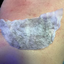 Gentlemen's Back Wax