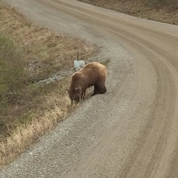 Wilderness Access Center - Grizzly - Parks Near Me