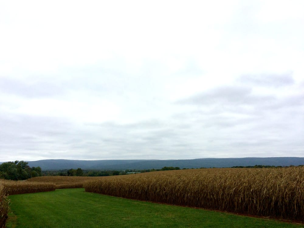 BROOKFIELD PUMPKINS 8302 Ramsburg Rd, Thurmont, MD Yelp