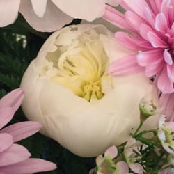Judy's Flower Basket