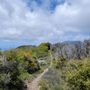 Photo of Los Pinos Peak