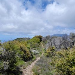 Los Pinos Peak
