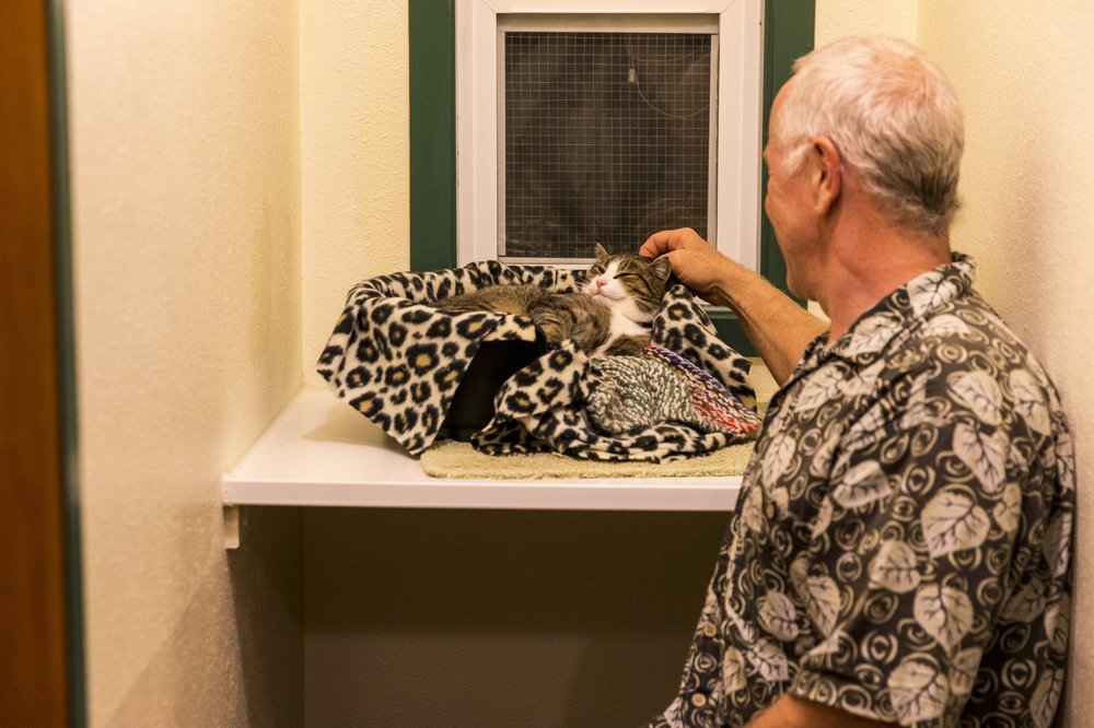 AUNTIE’S CAT KENNELS Updated October 2024 11 Photos 410 Sunnyside