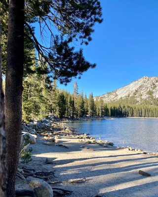 Tenaya Lake by null