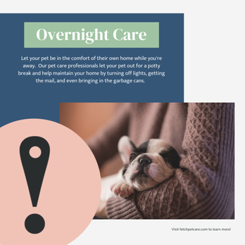 Fetch! Pet Care - Almost Overnights - Dog Walkers Near Me - Chicago, Illinois Fetch! Pet Care - Almost Overnights - Dog Walkers Near Me - Chicago, Illinois