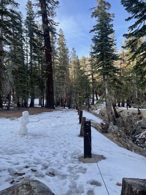 Earthquake Fault by null