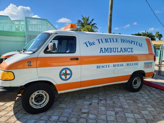 Turtle Hospital by null