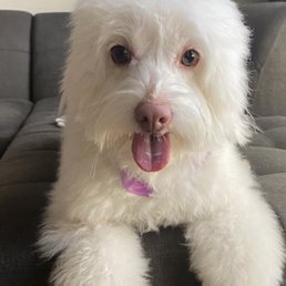 Happy Zoe