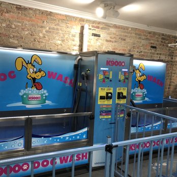 Puppy Auto Wash - Puppy Auto Wash, 1000 N Salem, Apex, NC - Pet Groomers Near Me - Apex, North Carolina Puppy Auto Wash - Puppy Auto Wash, 1000 N Salem, Apex, NC - Pet Groomers Near Me - Apex, North Carolina