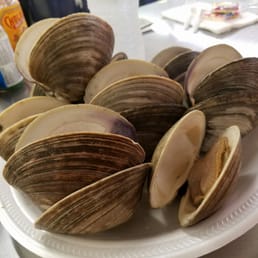Steamed Clams