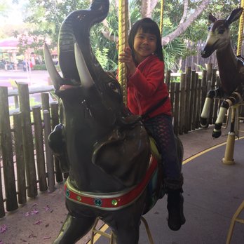 Conservation Carousel - Amusement Parks Near Me - Escondido, California Conservation Carousel - Amusement Parks Near Me - Escondido, California