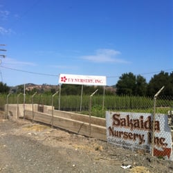 Ty Nursery