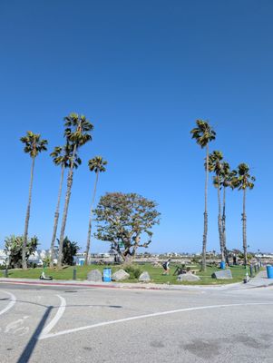 Alamitos Park by null