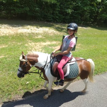 Hidden Fox Farm - Horseback Riding Near Me - Spotsylvania, Virginia