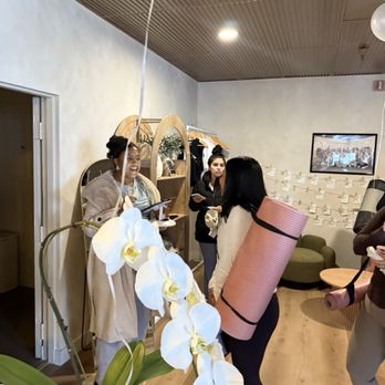 Beyond Her Body - Lobby - Pilates Near Me - Sacramento, California Beyond Her Body - Lobby - Pilates Near Me - Sacramento, California