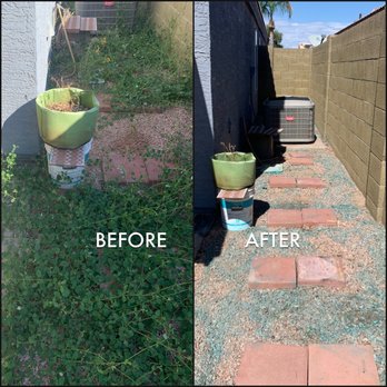 Albert’s Landscaping - Removal of weeds and weed spray. - Artificial Turf Near Me