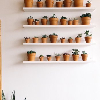 SACHI.LA - Coffee & Tea Near Me - Los Angeles, California