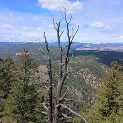 Bear Peak Trail