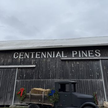 Centennial Pines Tree Farm - Tree Services Near Me - Wales, Michigan Centennial Pines Tree Farm - Tree Services Near Me - Wales, Michigan