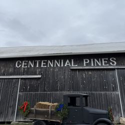 Centennial Pines Tree Farm