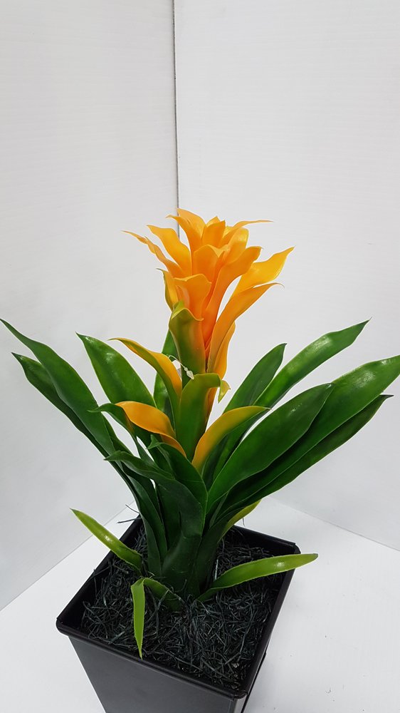 SILK PLANT WAREHOUSE YOUR DECOR ACCESSORY STORE Updated August 2024