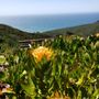 GreenScapes Landscape Maintenance