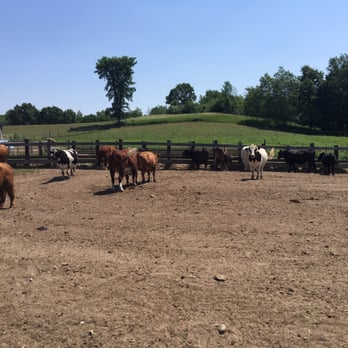 SASHA Farm Sanctuary - Animal Shelters Near Me SASHA Farm Sanctuary - Animal Shelters Near Me