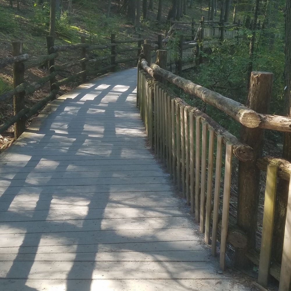 Bushkill Falls - Boardwalk at entrance/exit - Tours Near Me - Bushkill, Pennsylvania Bushkill Falls - Boardwalk at entrance/exit - Tours Near Me - Bushkill, Pennsylvania