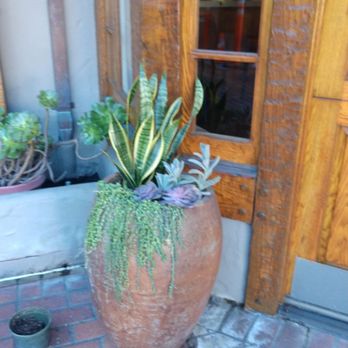 Griggs Nursery - Mixed - Nurseries & Gardening Near Me - Carmel-by-the-sea, California