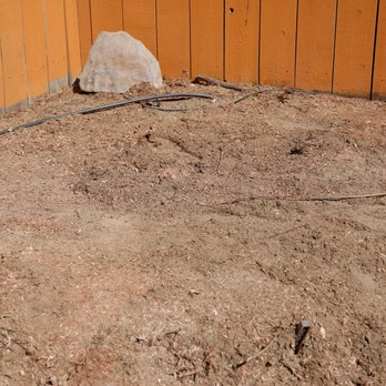 Lone Oak Tree Service - Redwood stump after - Tree Services Near Me - Oakdale, California