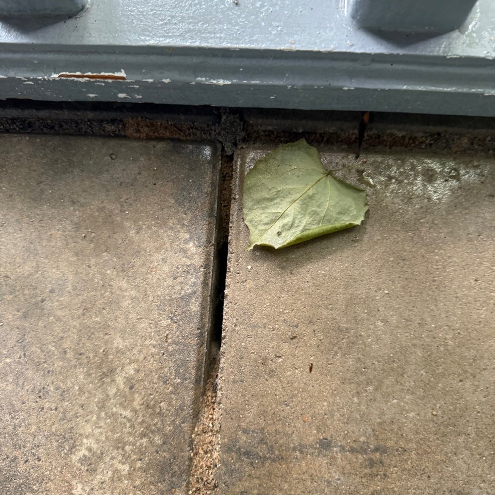 Perfect Paver - Example of polysand already failing - Masonry/Concrete Near Me - Franklin, Ohio