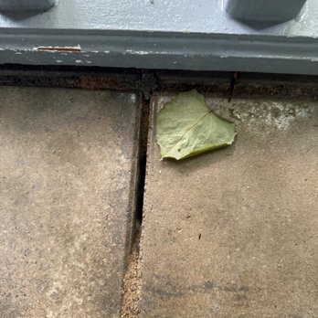 Perfect Paver - Example of polysand already failing - A dried, greenish leaf is on a concrete sidewalk next to a metal door threshold, with visible dirt and grime. - Masonry/Concrete Near Me - Franklin, Ohio
