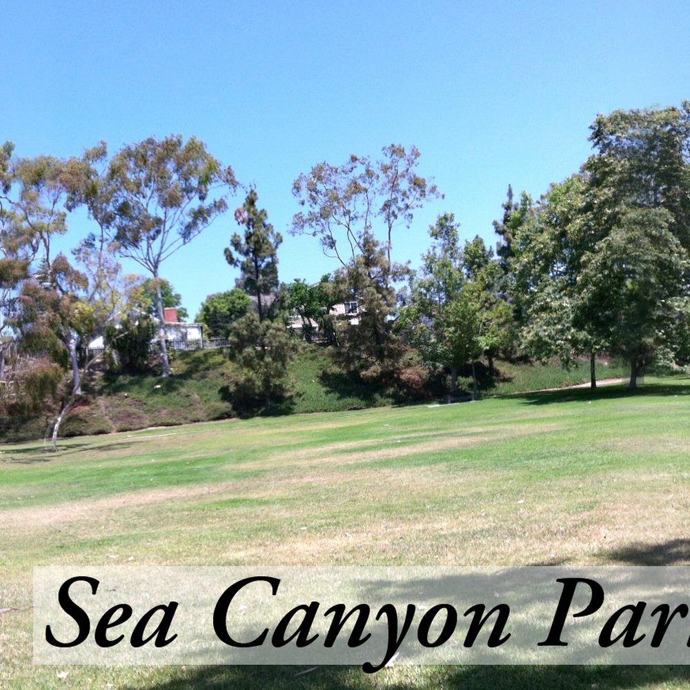 Sea Canyon Park - Plenty of space with a plenty of shade. - Parks Near Me - Dana Point, California Sea Canyon Park - Plenty of space with a plenty of shade. - Parks Near Me - Dana Point, California
