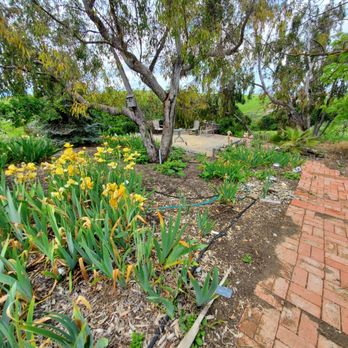 Nola's Iris Garden - Garden/seating - Nurseries & Gardening Near Me - San Jose, California