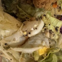 Chicken Critter Salad Chicken Critter Salad